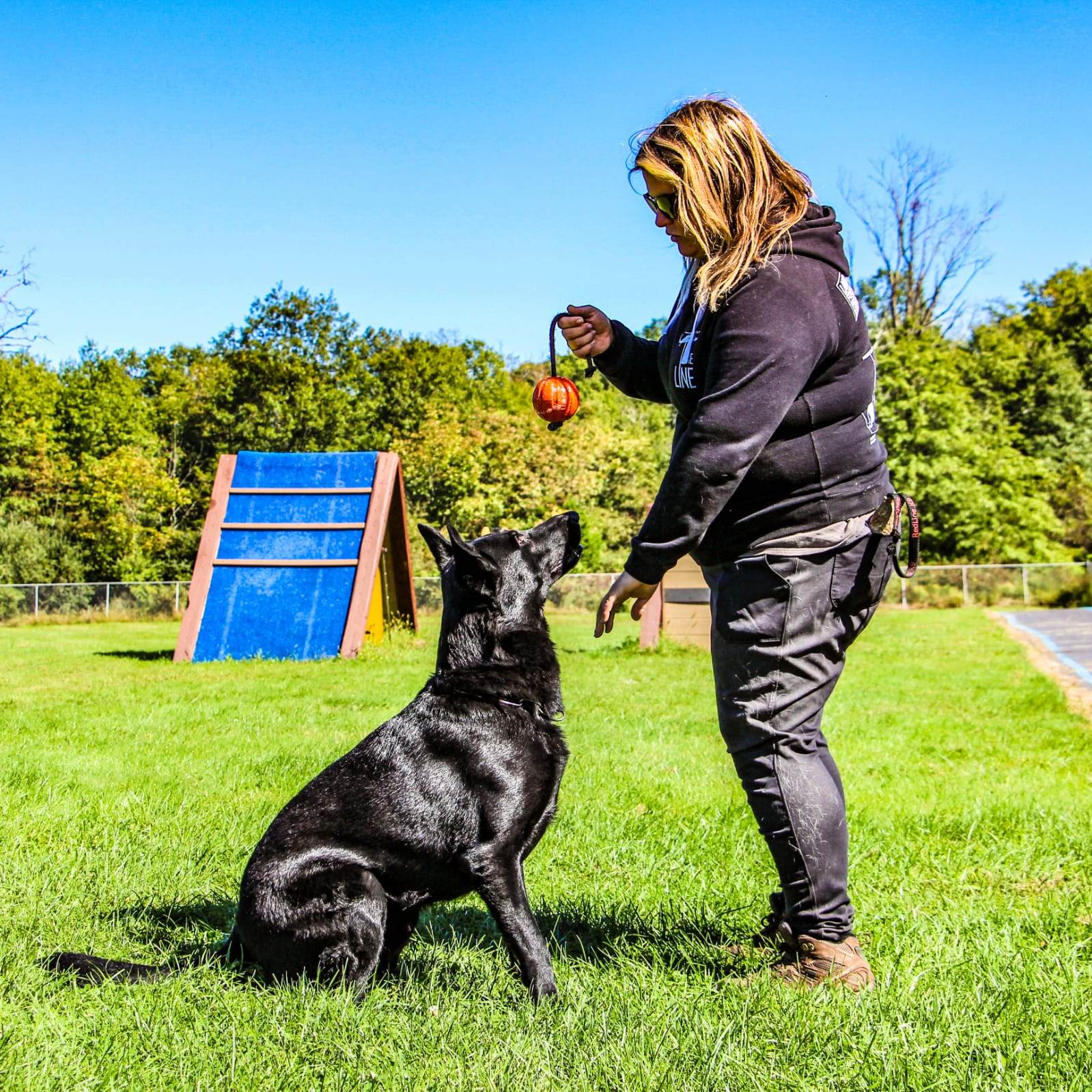 About - Innovative Canine Company